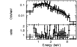 Spectrum of the GRB