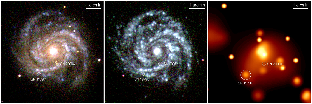 SN 2006X in the optical, UV and X-ray bands