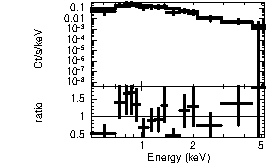 Spectrum of the GRB