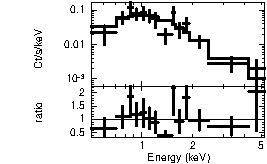 Spectrum of the GRB