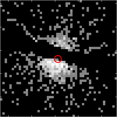 Image of the SPER data