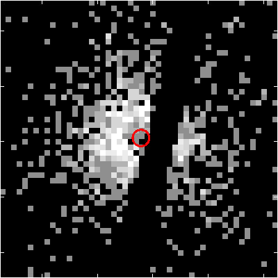 Image of the SPER data