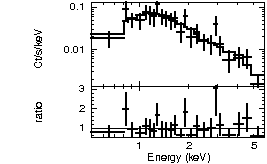 Spectrum of the GRB