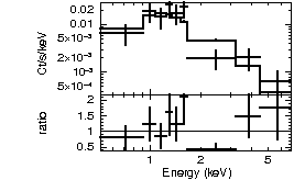 Spectrum of the GRB