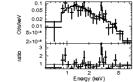 Spectrum of the GRB