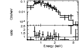 Spectrum of the GRB