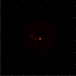 Image of the GRB
